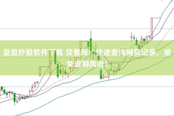 益盟炒股软件下载 贷查询：快速查询网贷记录，避免逾期风险！