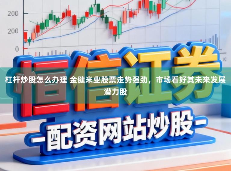 杠杆炒股怎么办理 金健米业股票走势强劲，市场看好其未来发展潜力股