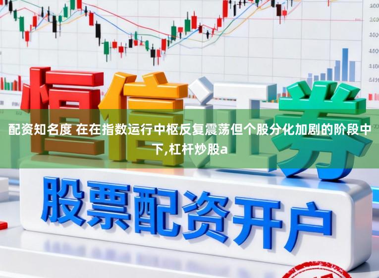配资知名度 在在指数运行中枢反复震荡但个股分化加剧的阶段中下,杠杆炒股a
