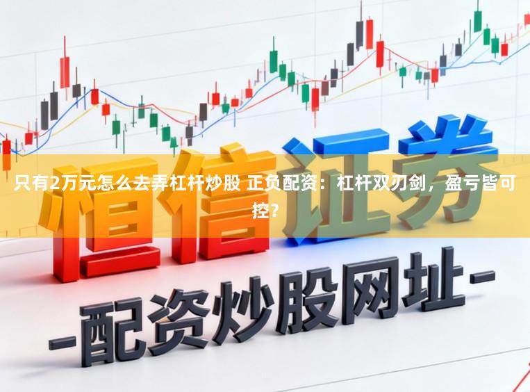 只有2万元怎么去弄杠杆炒股 正负配资：杠杆双刃剑，盈亏皆可控？